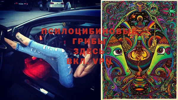 спайс Баксан