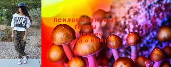 спайс Баксан